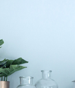 Peinture Naturelle Hyppolite n°33 Koppel