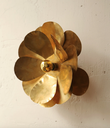 Applique Cosmos Caravane
