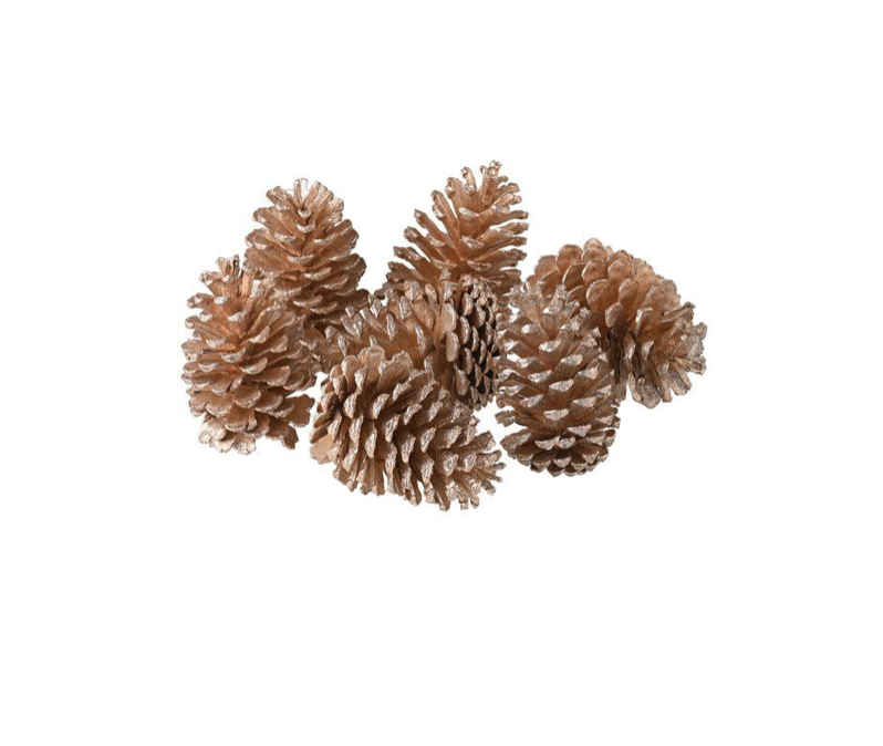 Déco Noël - Pomme de pin