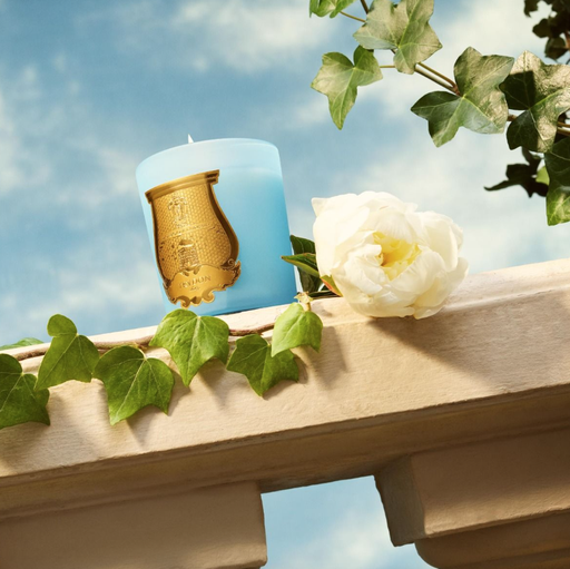 Grande Bougie parfumée Versailles Trudon