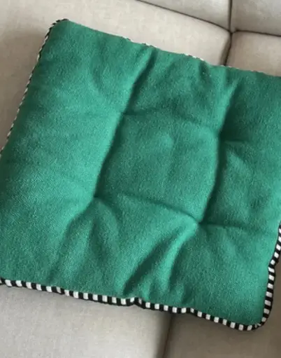 Coussin Plat (vert)